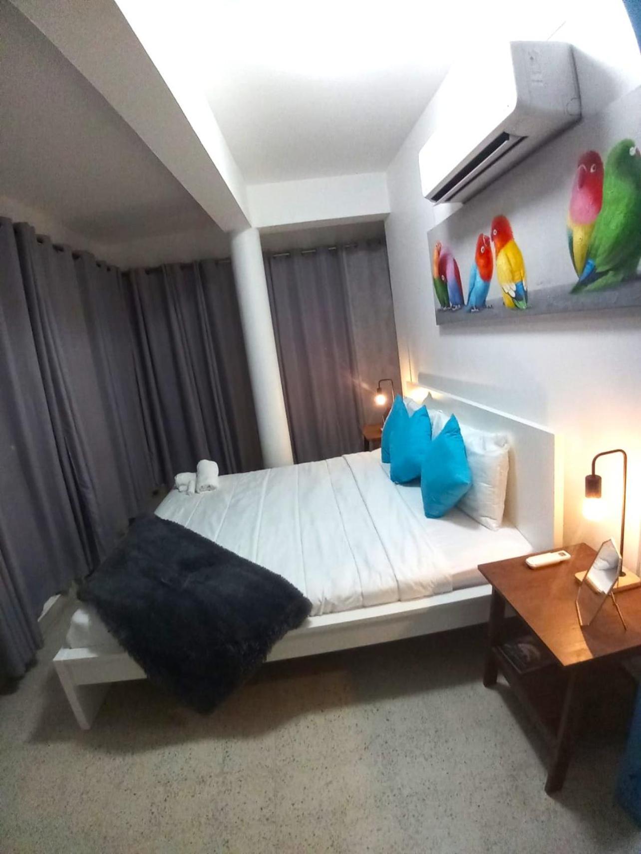 P4 Pr Rentals Condado Beach Guesthouse سان خوان المظهر الخارجي الصورة